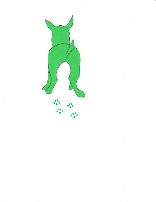 Green Dog Walking