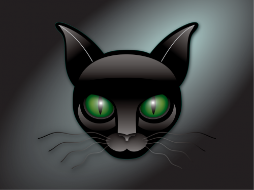 green eyes kitty cat