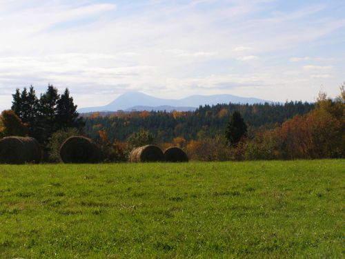 Green Field With Hay