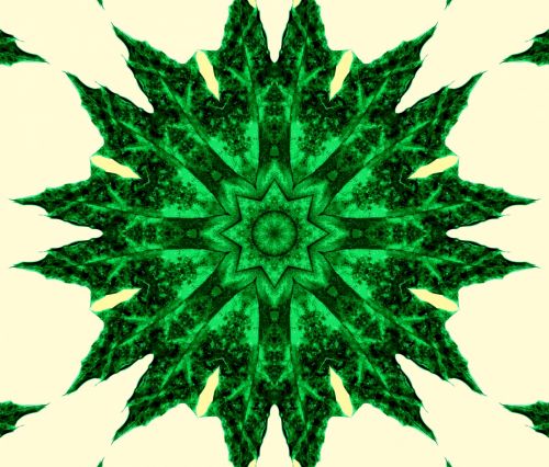 Green Floral Mandala