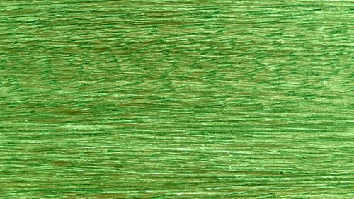 Green Grain Pattern Background