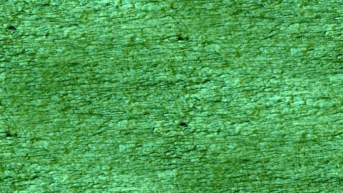 Green Grainy Seamless Background