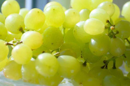 Green Grapes