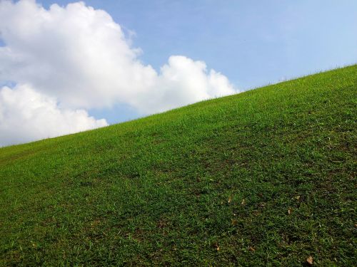 Green Grass And Blue Sky