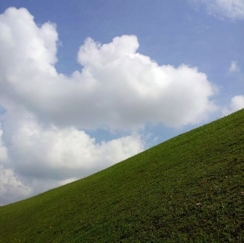 Green Grass And Cloudy Sky