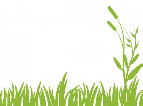 Green Grass Clipart