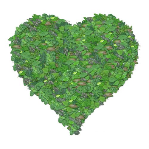 green heart eco ecology