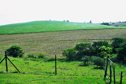 Green Hills Of Kwa-zulu Natal