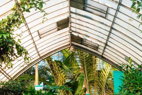 green house glass roof