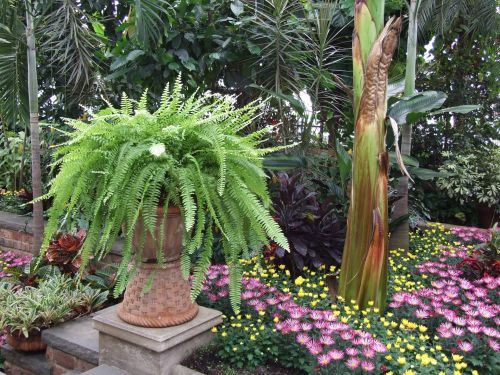 Green House Garden