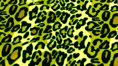 Green Leopard Skin Background