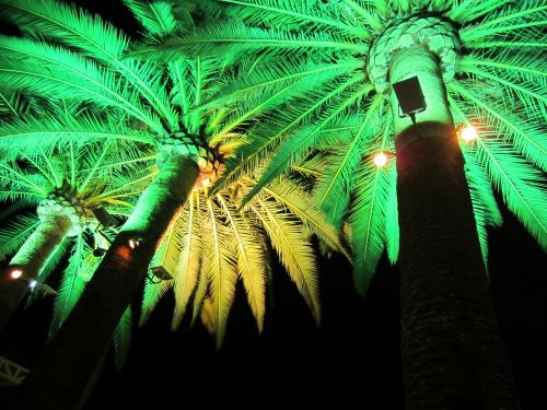 green light electric lighting illumination