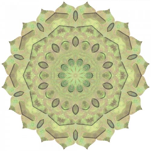 Green Lotus