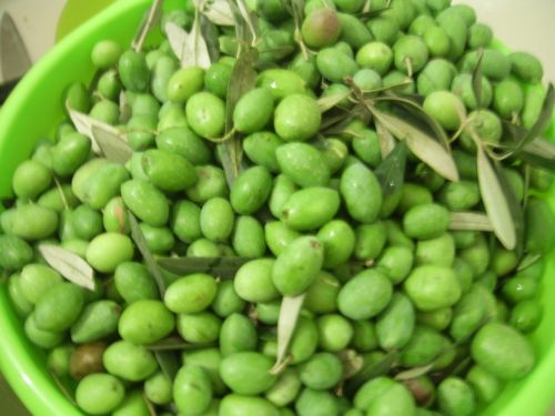 Green Olives