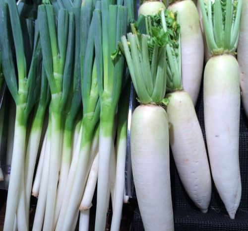 green onion radish vegetables