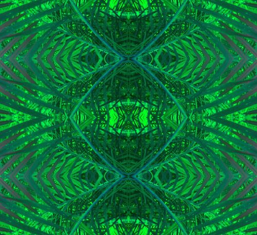 Green Palm Pattern