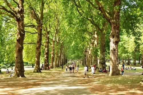 green park london uk