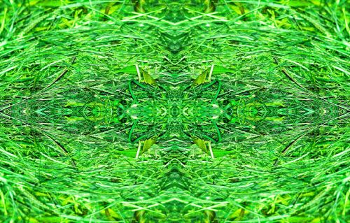 Green Pattern Background