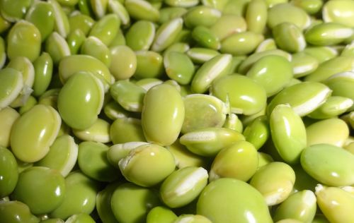 green peas vegetables food