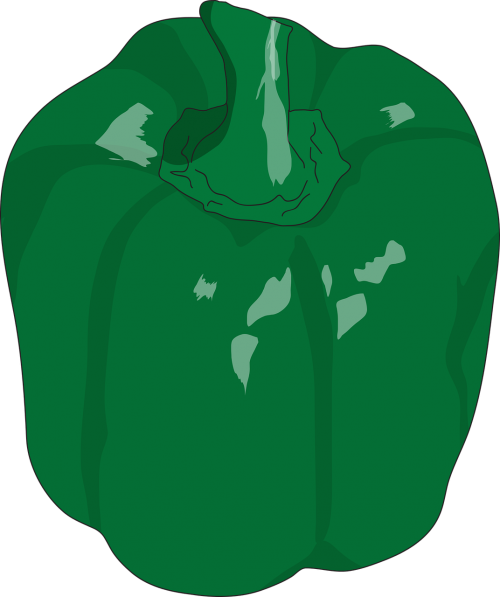 green pepper vegetable vegetarian