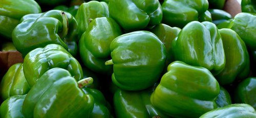 green peppers  vegetable  food