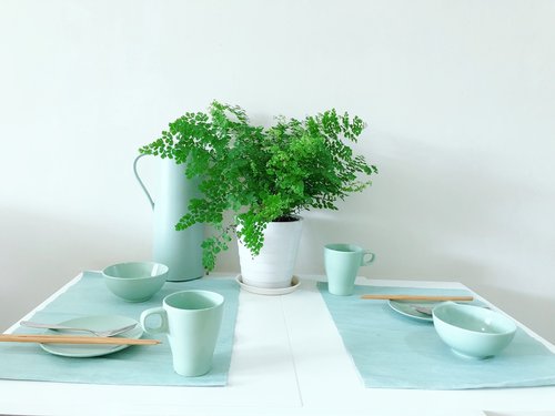 green plants  household  nordic wind