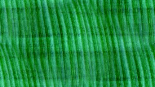Green Seamless Abstract Background