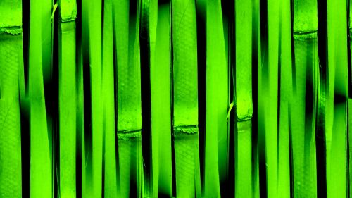 Green Seamless Bamboo Background
