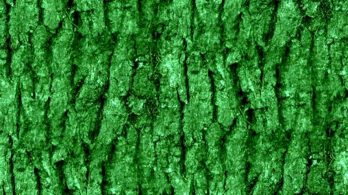 Green Seamless Bark Background