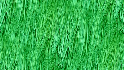 Green Seamless Straw Background