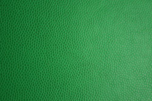 green skin leather texture leather