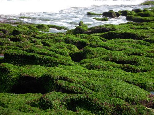 green stone trough chao gou sea 蝕 gou