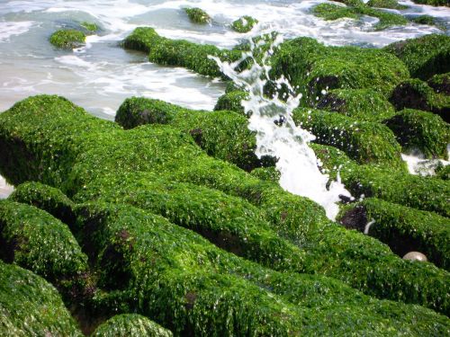 green stone trough chao gou sea 蝕 gou