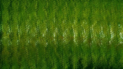 Green Textured Background