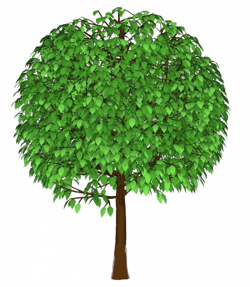 Green Tree 2