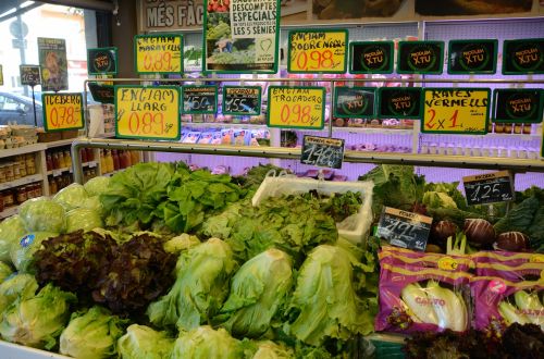 Green Vegetables