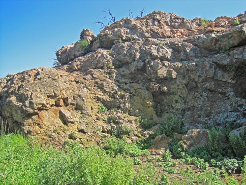 Green Vegetation At Foot Of Hill