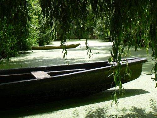 green venice boat nature