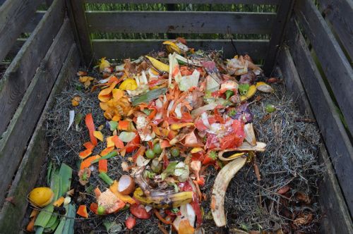 green waste compost compost bin