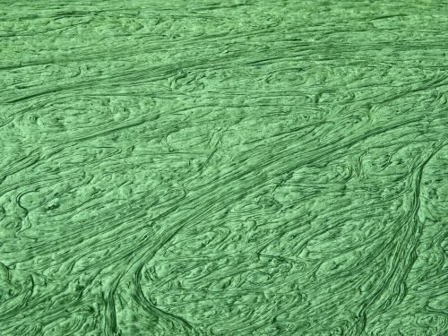 Green Wavy Lines Background