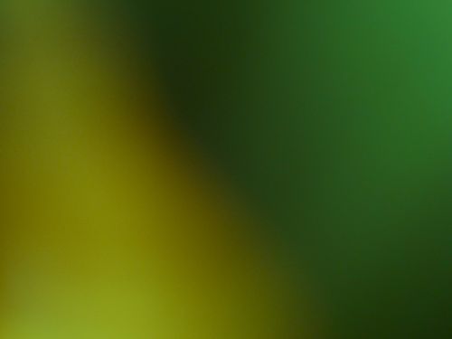 Green Yellow Background