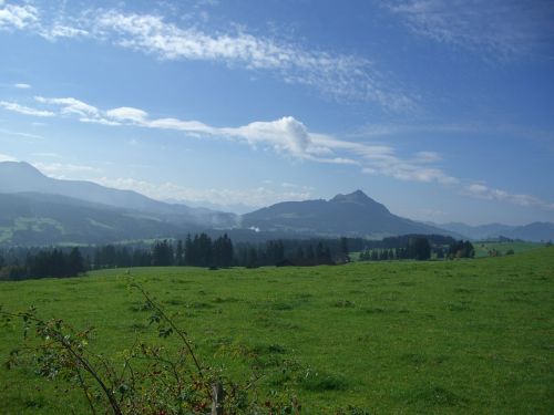 greened ellegghoehe mountain meadow