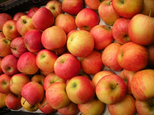 greengrocer fruit crate apples