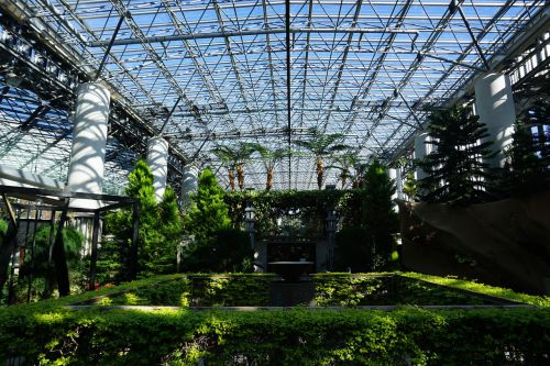 greenhouse garden botany