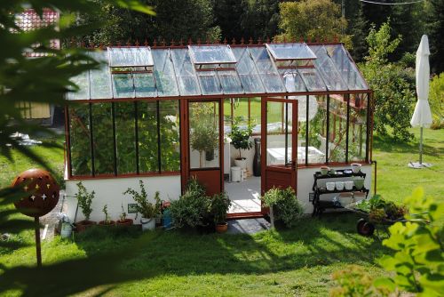 greenhouse summer grow