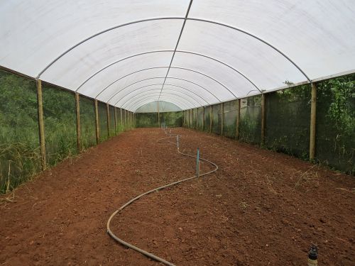 greenhouse agriculture site
