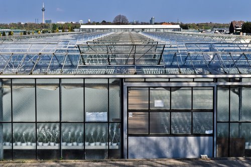 greenhouse  glass  building