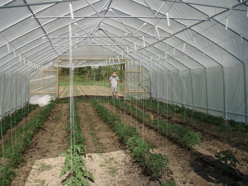 greenhouse hoop house trellis