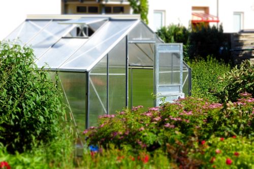 greenhouse garden glass house