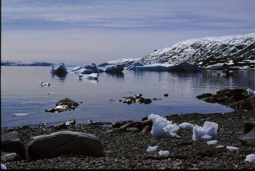 greenland sun midnight